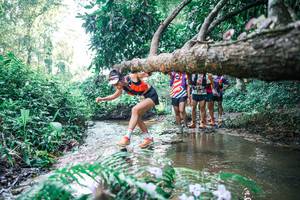 BIB: 
                            <button type="button" onclick="openModal(25444967)" class="btn btn-primary btn-sm float-right btn-popup" data-toggle="modal" data-target=".modal-high-quality">
                        <i class="fas fa-shopping-cart"></i> Add to Cart
                    </button>
                                            <button type="button" onclick="isThisMe(25444967, true)" class="btn btn-success btn-sm float-right btn-popup btn-isme hidden" data-toggle="tooltip" data-placement="bottom" title="นี่คือรูปของคุณใช่ไหม คลิกที่นี่เพื่อเอาเข้าอัลบั้ม">
                        <i class="fas fa-plus"></i> Add to album
                    </button>
                    <button type="button" onclick="isThisMe(25444967, false)" class="btn btn-warning btn-sm float-right btn-popup btn-isnotme hidden">
                        <i class="fas fa-ban"></i> Remove from album
                    </button>